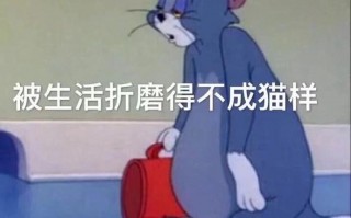 想牵手的文案沙雕短句，想牵手的文案沙雕短句图片