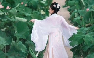 国画荷花汉服日常穿搭，国画荷花图片大全