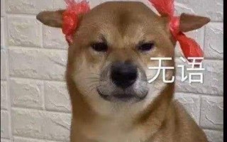 喂狗沙雕文案图片，喂狗沙雕文案图片大全