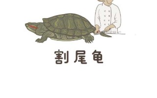 坐下沙雕文案，坐下沙雕文案搞笑