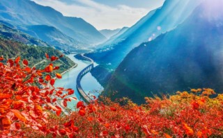 吉舒游玩攻略，吉舒游玩攻略大全