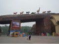 重庆游玩攻略动物园，重庆游玩攻略