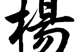 杨丽的脱口秀段子搞笑版，杨丽的脱口秀段子搞笑版视频