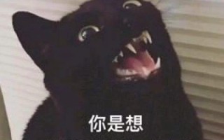 斗地主沙雕文案，斗地主沙雕文案搞笑