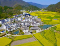 七都镇游玩攻略，七都镇游玩攻略一日游