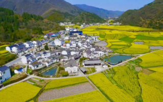 七都镇游玩攻略，七都镇游玩攻略一日游