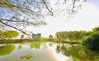 盐城基地游玩攻略，盐城基地游玩攻略一日游